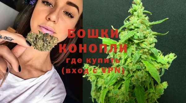 крисы Ладушкин