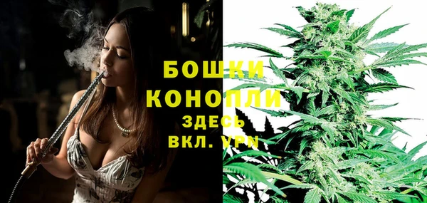 крисы Ладушкин