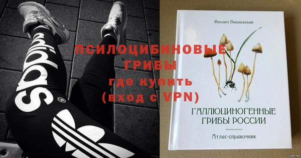 спайс Лабытнанги
